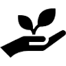 A hand holding a small plant with a leaf, symbolising Business Consultancy Services of an impact-driven B Corp Consultant in Haarlem.